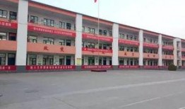 红河某中学爆料事件视频,真相与争议交织