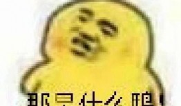 免费吃瓜表情包下载安装,轻松打造个性聊天风格