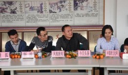 雷州记者爆料新闻视频,新闻视频揭示惊人内幕