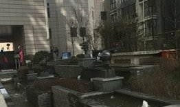 西安花园爆料最新消息,揭秘神秘事件背后的真相