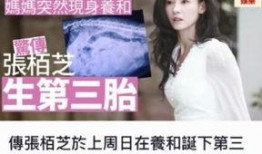 内地娱乐圈最新爆料新闻,当红明星背后惊人内幕曝光