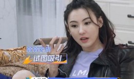 张柏芝更新爆料视频下载,揭秘背后惊人真相