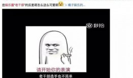 娱乐圈爆料专用语言,揭秘明星背后的惊人真相！
