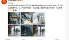 贵圈爆料完整视频,完整视频揭秘幕后真相，独家解读事件全貌