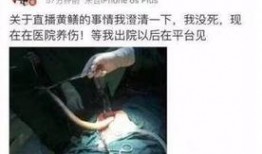 在线观看黄鳝门,黄鳝门事件引发的道德反思