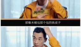 赵文卓最新爆料,娱乐圈背后的惊人真相