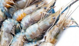 大虾养殖爆料图片高清视频,大虾养殖全过程，带你领略海洋养殖新风采