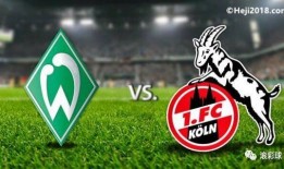 究极爆料德甲联赛视频