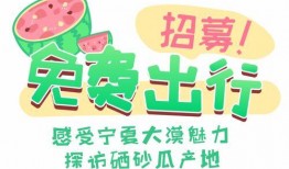 读我心声吃大瓜免费在线阅读,揭秘网络热文背后的故事