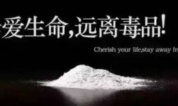 毒贩被抓爆料视频真实,揭秘警方抓捕行动全程