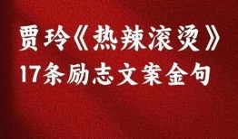 八卦爆料文案励志视频,励志视频背后的故事，激发奋斗力量